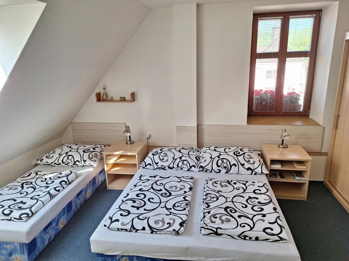 Penzion U Vorlicku Jablonné nad Orlicí Zewnętrze zdjęcie
