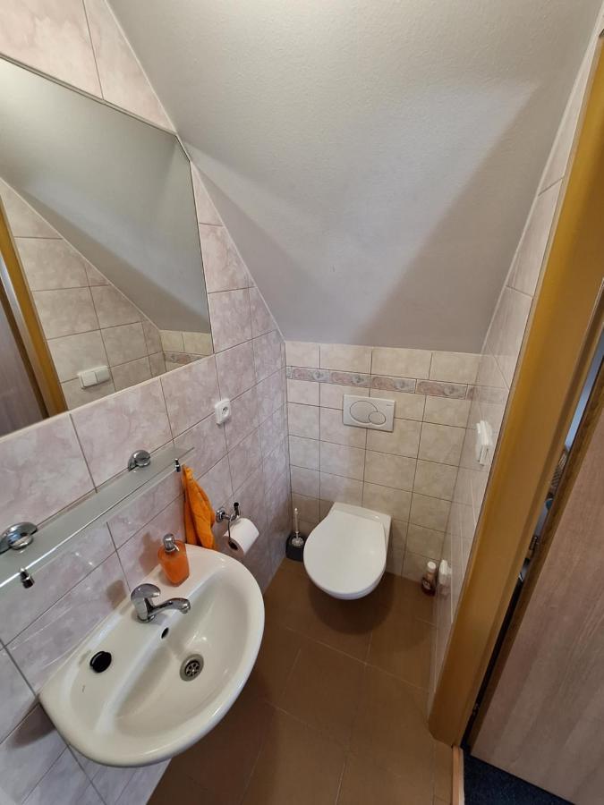 Penzion U Vorlicku Jablonné nad Orlicí Zewnętrze zdjęcie