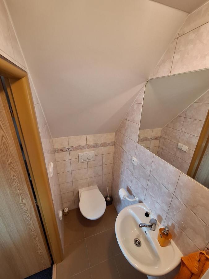 Penzion U Vorlicku Jablonné nad Orlicí Zewnętrze zdjęcie
